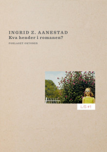 Kva hender i romanen? av Ingrid Z. Aanestad (Ebok)