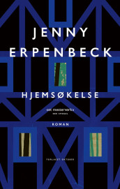 Hjemsøkelse av Jenny Erpenbeck (Innbundet)