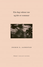 Ein dag vaknar me og det er sommar av Ingrid Z. Aanestad (Innbundet)