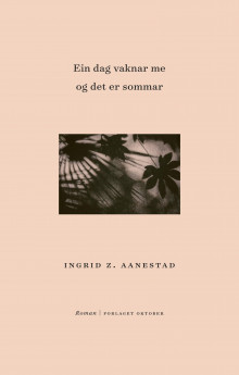Ein dag vaknar me og det er sommar av Ingrid Z. Aanestad (Innbundet)