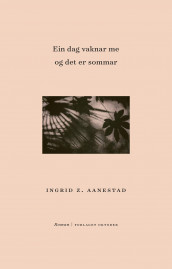 Ein dag vaknar me og det er sommar av Ingrid Z. Aanestad (Ebok)