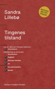 Tingenes tilstand av Sandra Lillebø (Heftet)