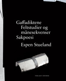 Gaffadiktene av Espen Stueland (Innbundet)