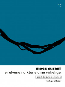 Er elvene i diktene dine virkelige av Moez Surani (Heftet)