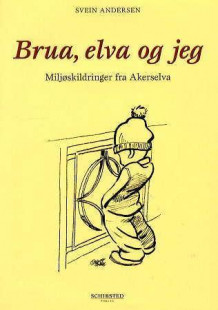 Brua, elva og jeg av Svein Andersen (Innbundet)