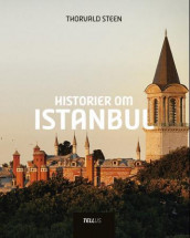 Historier om Istanbul av Thorvald Steen (Innbundet)