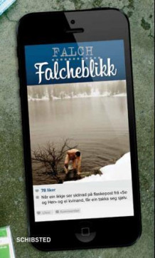 Falcheblikk av Sigmund Falch (Innbundet)