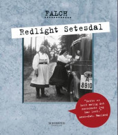 Redlight Setesdal av Sigmund Falch (Ebok)