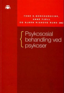 Psykososial behandling ved psykoser av Tone S. Borchgrevink, Bjørn Rishovd Rund og Anne Fjell (Heftet)