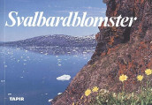 Svalbardblomster av Olav Gjærevoll og Olaf I. Rønning (Heftet)