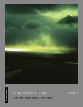 Trøndelags historie. Bd. 1 av Sigmund Kinn Alsaker, Merete Røskaft, Olav Skevik, Kalle Sognnes og Lars F. Stenvik (Innbundet)