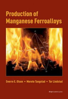 Production of manganese ferroalloys av Sverre E. Olsen, Merete Tangstad og Tor Lindstad (Innbundet)