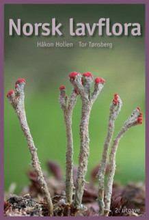 Norsk lavflora av Håkon Holien og Tor Tønsberg (Innbundet)