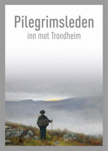 Pilegrimsleden inn mot Trondheim av Stein Thue (Heftet)