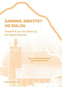 Danning, identitet og dialog av Birger Løvlie, Ralph Meier og Arne Redse (Heftet)