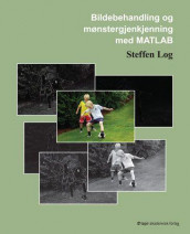 Bildebehandling og mønstergjenkjenning med MATLAB av Steffen Log (Heftet)