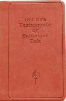 Det nye testamente og Salmenes bok (Innbundet)