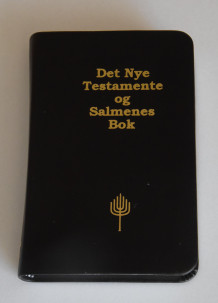 Det nye testamente og Salmenes bok (Innbundet)