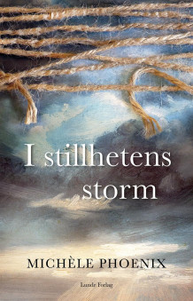 I stillhetens storm av Michèle Phoenix (Heftet)