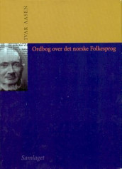 Ordbog over det norske Folkesprog av Ivar Aasen (Innbundet)