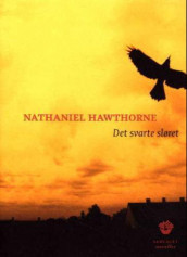 Det svarte sløret av Nathaniel Hawthorne (Innbundet)