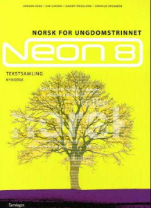 Neon 8 av Jorunn Aske, Siw Larsen, Kjersti Rossland og Arnhild Stenberg (Innbundet)