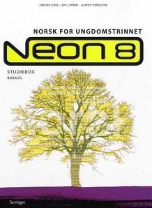 Neon 8 av Jorunn Aske, Siw Larsen og Kjersti Rossland (Innbundet)