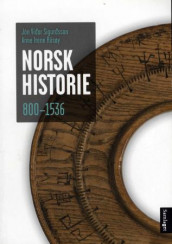 Norsk historie 800-1536 av Anne Irene Riisøy og Jón Viðar Sigurðsson (Heftet)