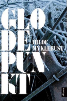 Glødepunkt av Hilde Myklebust (Innbundet)