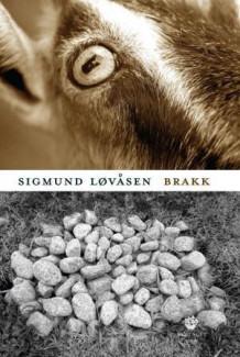 Brakk av Sigmund Løvåsen (Ebok)