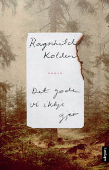 Det gode vi ikkje gjer av Ragnhild Kolden (Ebok)
