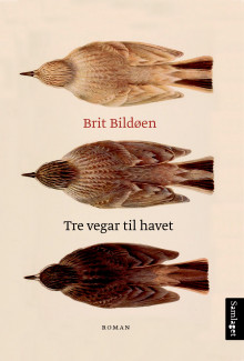 Tre vegar til havet av Brit Bildøen (Innbundet)