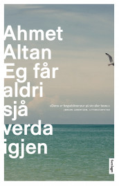 Eg får aldri sjå verda igjen av Ahmet Altan (Innbundet)
