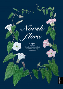 Norsk flora av Reidar Elven, Charlotte Sletten Bjorå, Eli Fremstad, Hanne Hegre og Heidi Solstad (Innbundet)