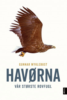 Havørna av Gunnar Myklebust (Innbundet)