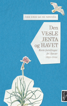 Den vesle jenta og havet av Odd Eirik Færevåg (Innbundet)