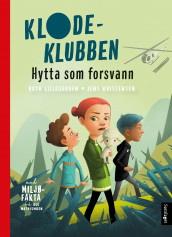 Hytta som forsvann av Ruth Lillegraven (Innbundet)