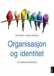Organisasjon og identitet av Gro Kvåle og Arild Wæraas (Ebok)