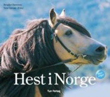 Hest i Norge av Bergljot Børresen (Innbundet)