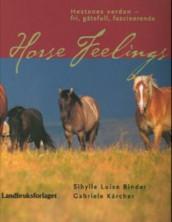 Horse feelings av Sibylle Luise Binder og Gabrielle Kärcher (Innbundet)