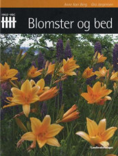 Blomster og bed av Anne Kari Berg og Gro Jørgensen (Innbundet)
