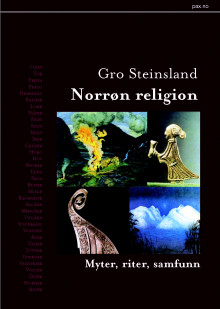 Norrøn religion av Gro Steinsland (Innbundet)