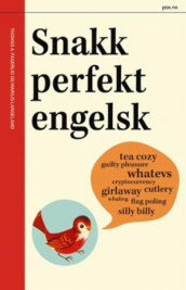 Snakk perfekt engelsk av Thomas A. Fagerlid og Marius Langeland (Heftet)
