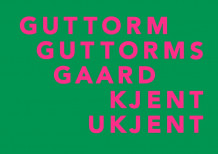 Guttorm Guttormsgaard: kjent ukjent av Jon-Ove Steihaug (Heftet)