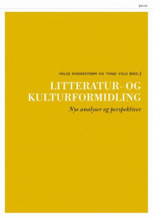 Litteratur- og kulturformidling av Helge Ridderstrøm og Tonje Vold (Heftet)