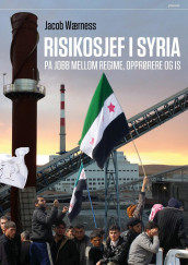 Risikosjef i Syria av Jacob Wærness (Innbundet)
