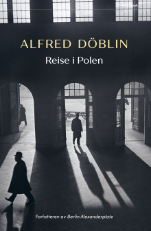 Reise i Polen av Alfred Döblin (Innbundet)