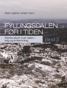 Fyllingsdalen før i tiden av Stein Ugelvik Larsen (Innbundet)