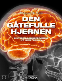 Den gåtefulle hjernen av Malene Breusch Hansen og Jan Aagaard (Innbundet)