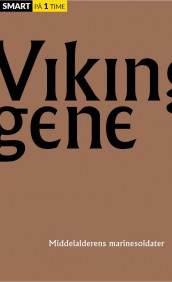 Vikingene av Bjørn Bojesen, Benjamin T. Christensen, Thomas Hebsgaard, Tim Panduro og Kasper Schlie (Heftet)